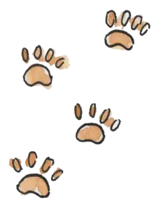 Writers Publishing Lab